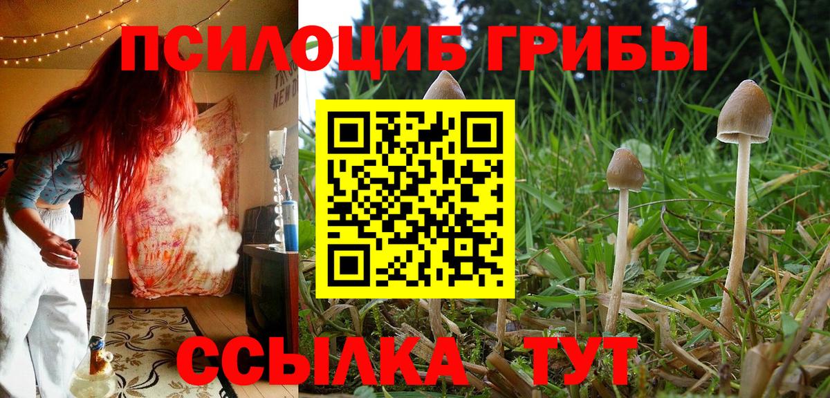 Псилоцибиновые грибы мицелий Печора
